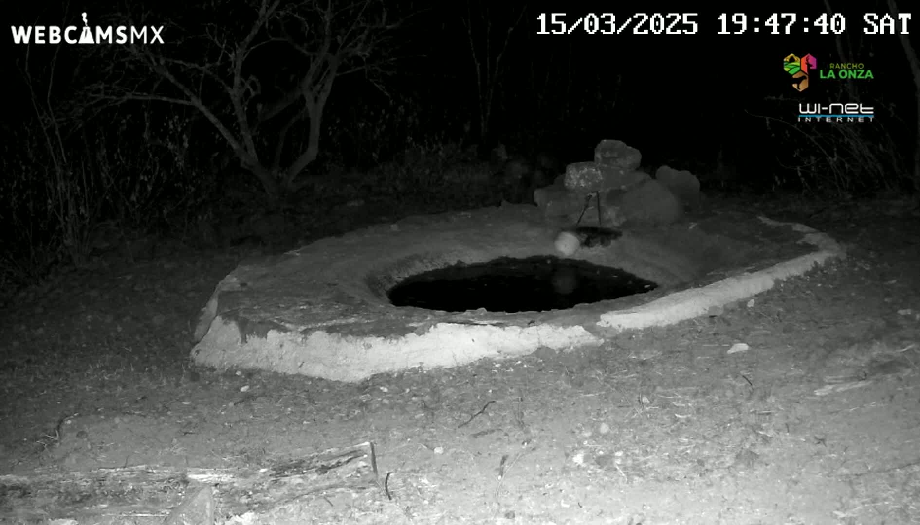 A circular, cement-rimmed water basin sits in the dark outdoors at night.