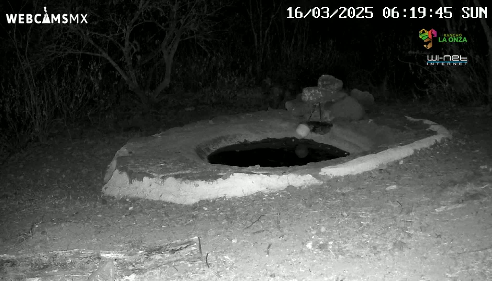 A low circular stone structure containing a pool of water is situated outdoors at night.