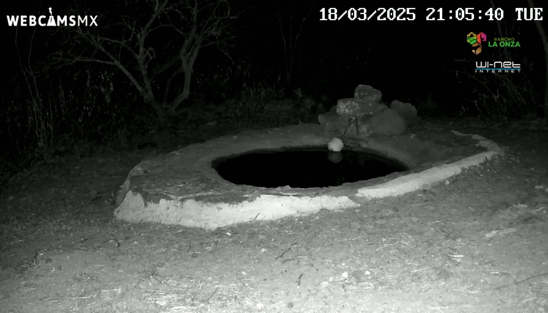 A circular, dark pool of water sits within a low, stone wall at night, surrounded by dark vegetation.