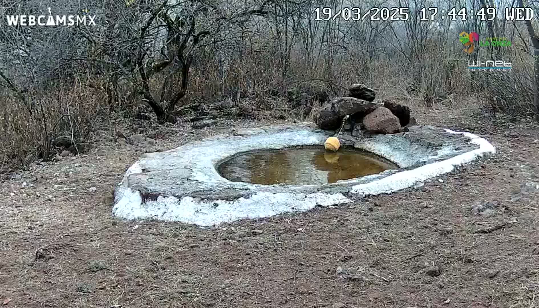 A small, shallow, circular pool of muddy water sits in a stone basin, partially surrounded by dry, brown brush under a cloudy sky.