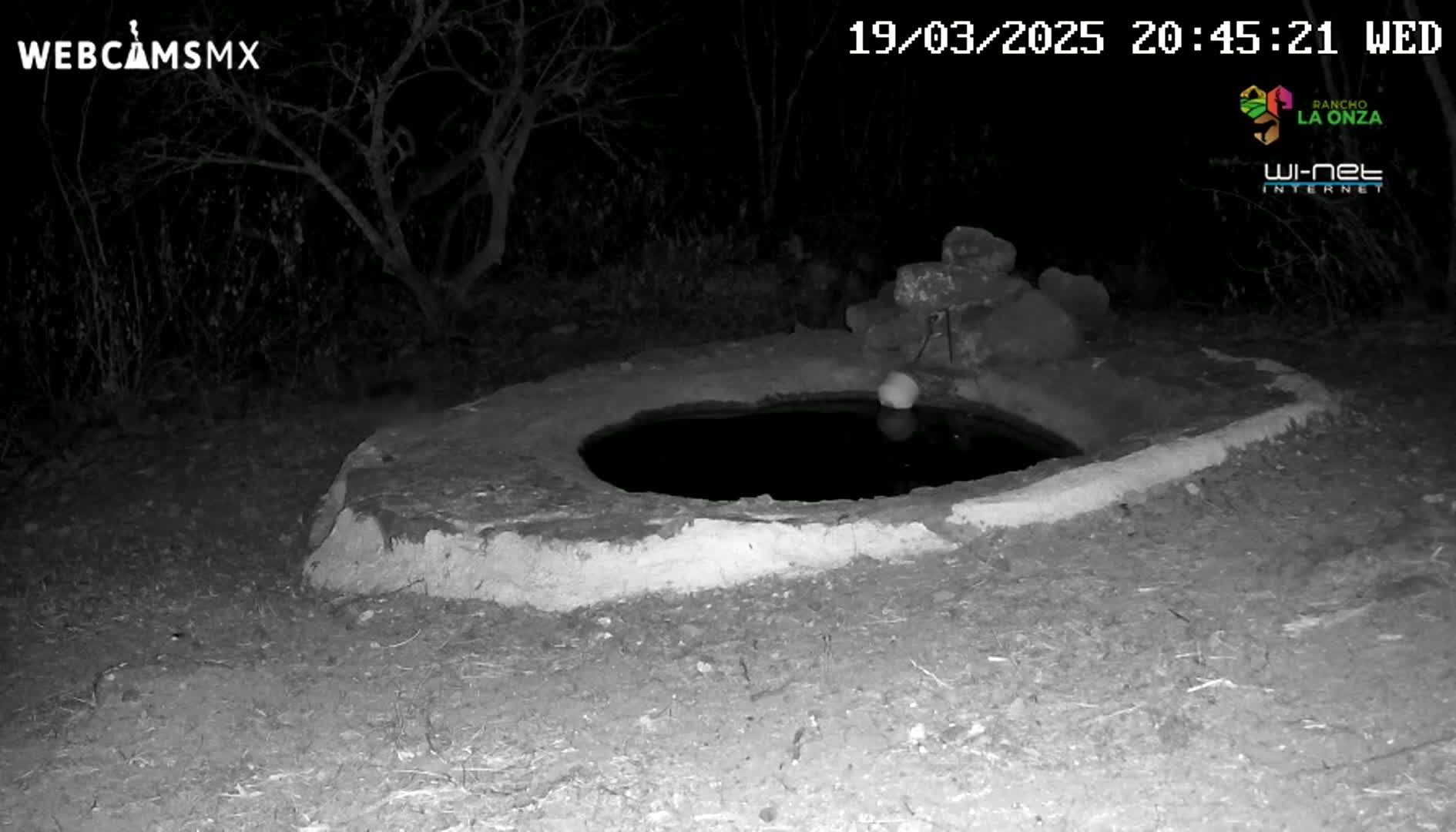 A nighttime, infrared image shows a circular water basin or well surrounded by dry, dark ground and sparse vegetation.