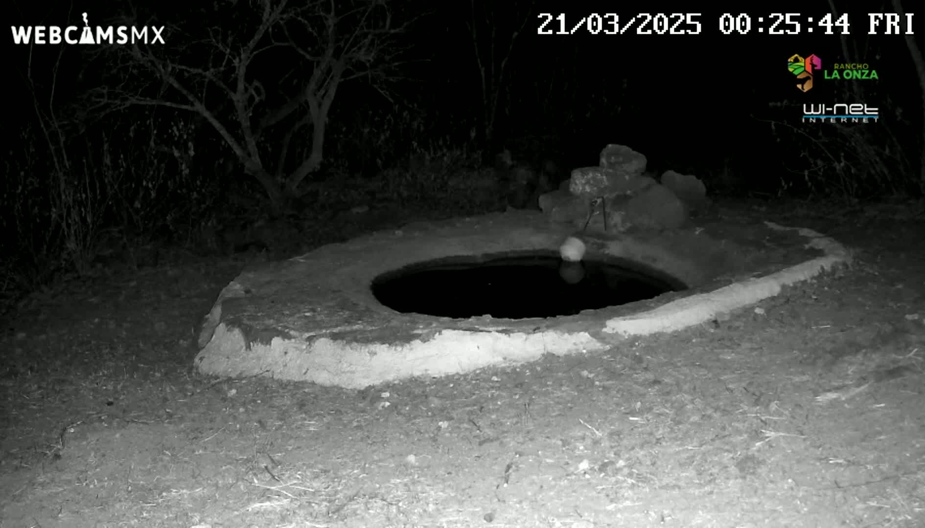 A circular, stone well with dark water sits in the ground at night, surrounded by sparse vegetation.
