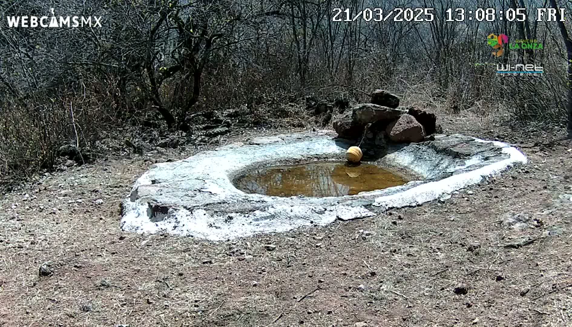 A small, shallow, stone water basin with a yellow float in it sits in a dry, scrubby landscape under a sunny sky.