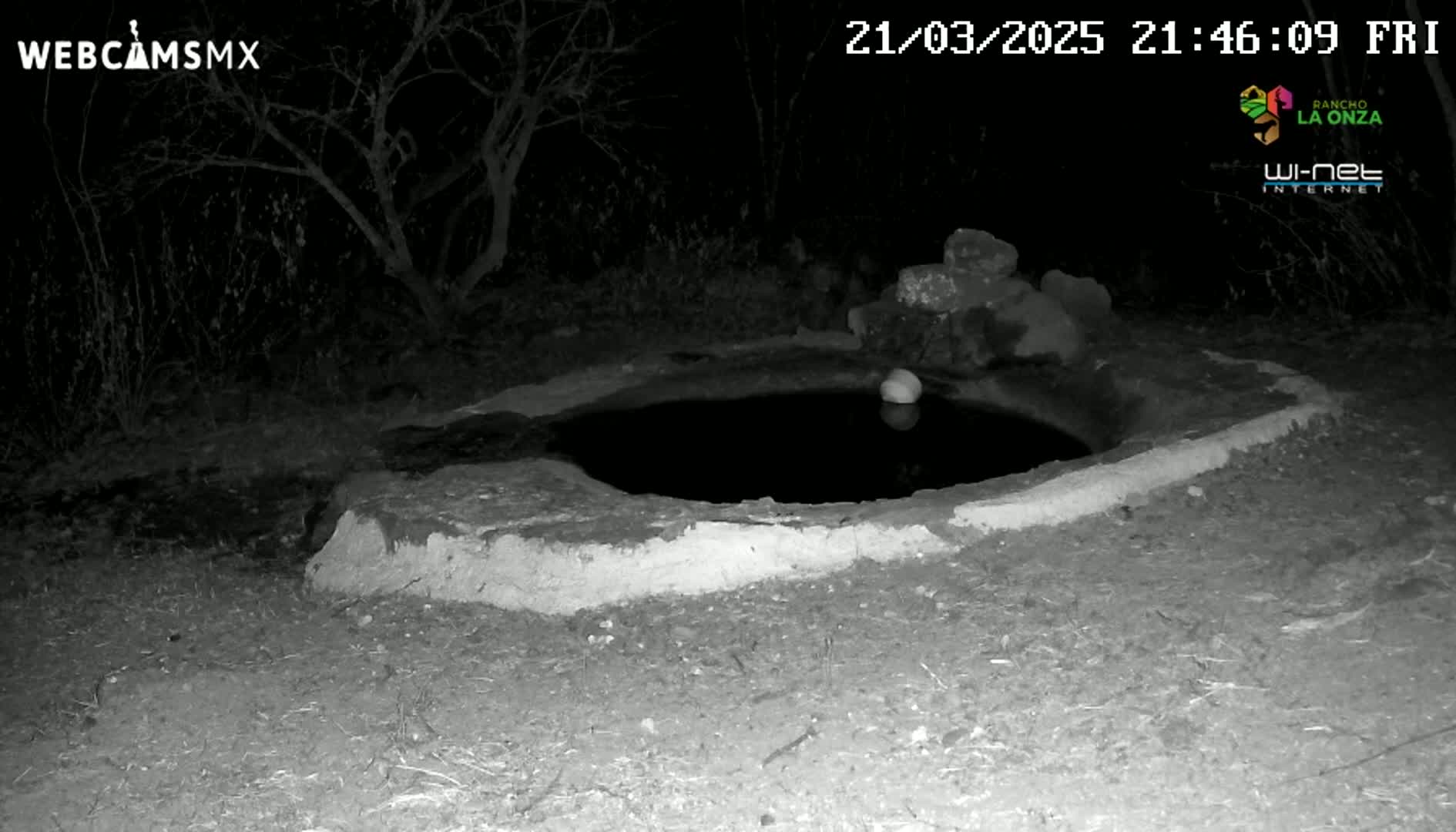 A small, dark pool of water sits within a low, light-colored stone structure at night.