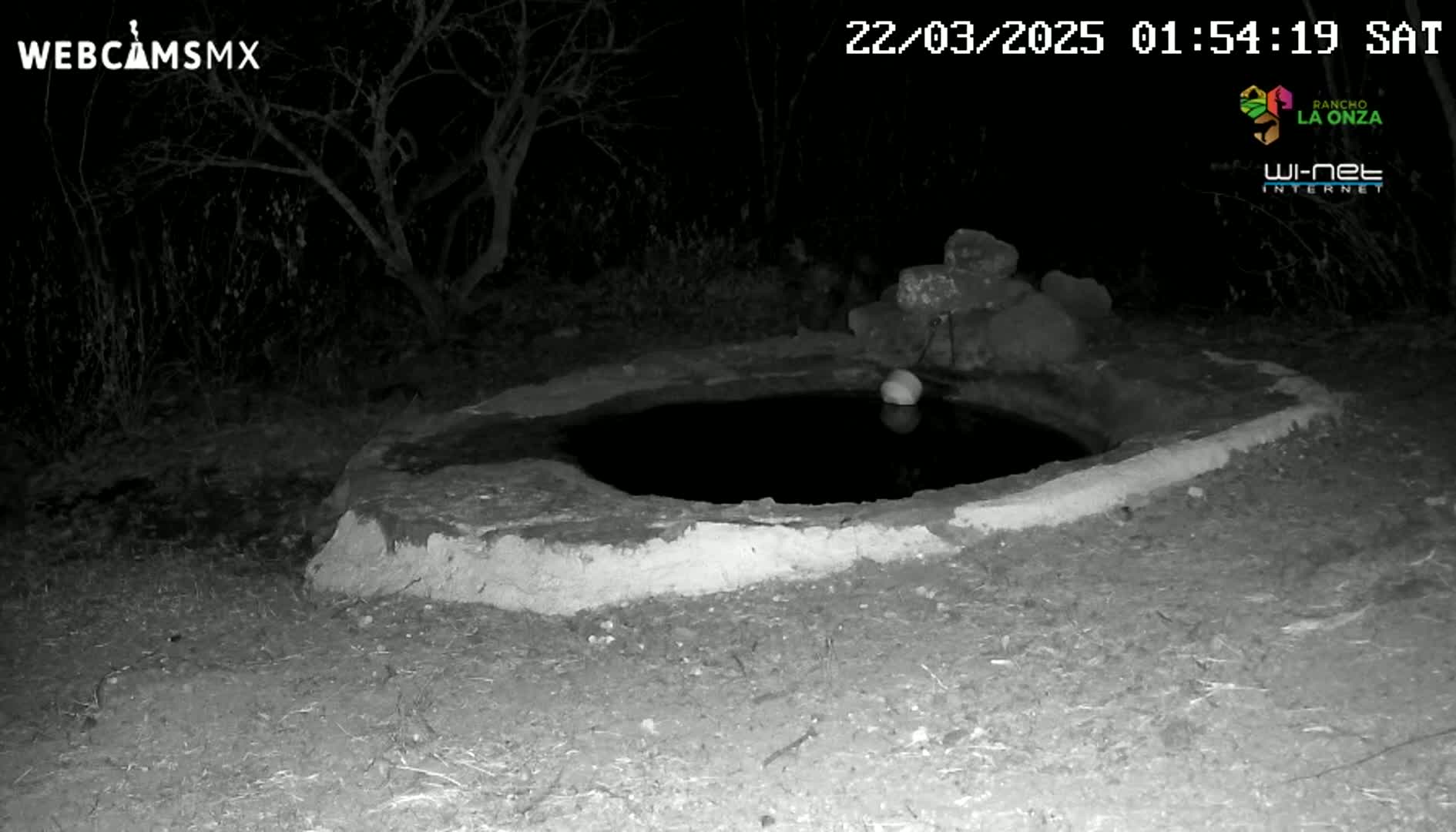 A small, dark pool of water sits within a low, circular stone structure at night.