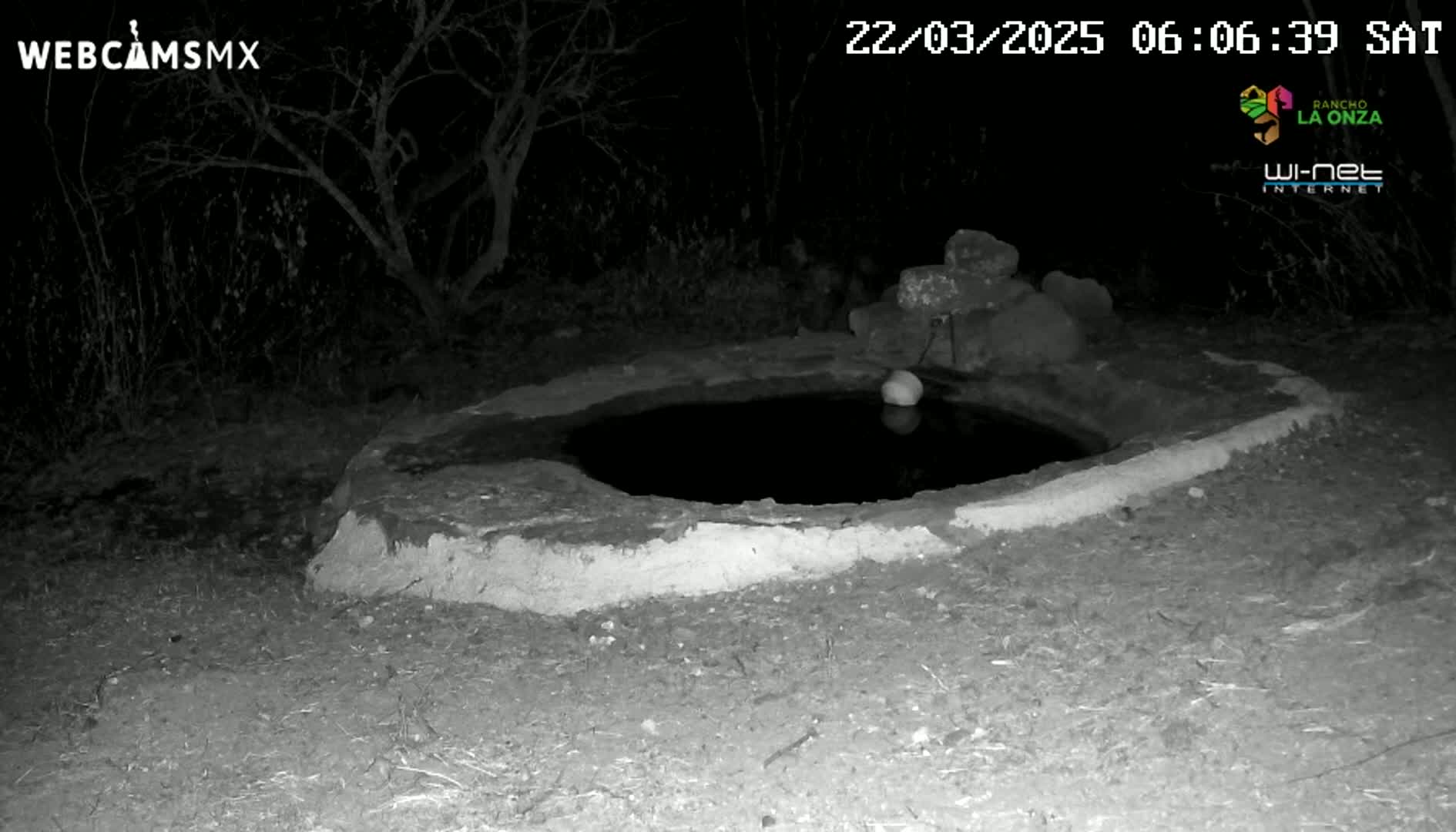A circular, stone-rimmed water source sits in the dark under a night sky, surrounded by sparse vegetation.