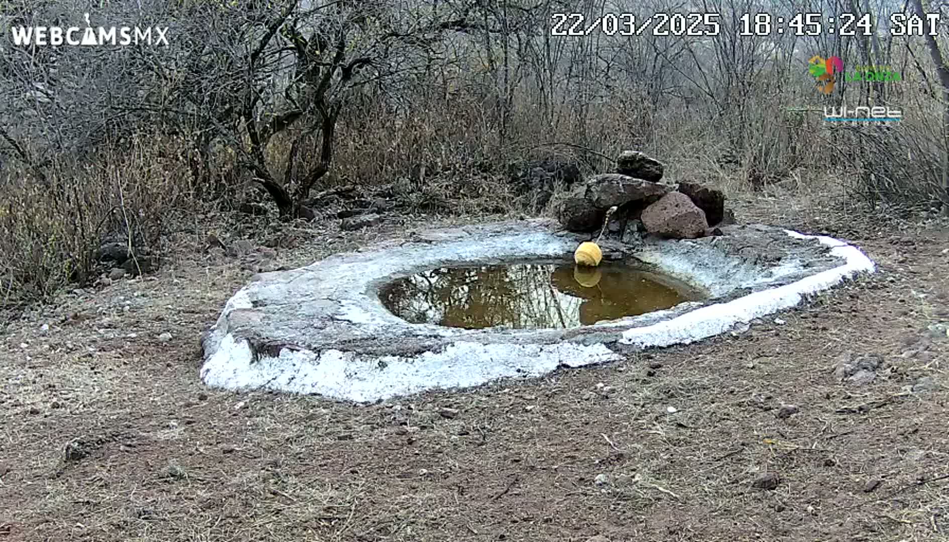 A small, shallow, oval-shaped pool of muddy water sits in a dry, sparsely vegetated area, surrounded by rocks and bare bushes.