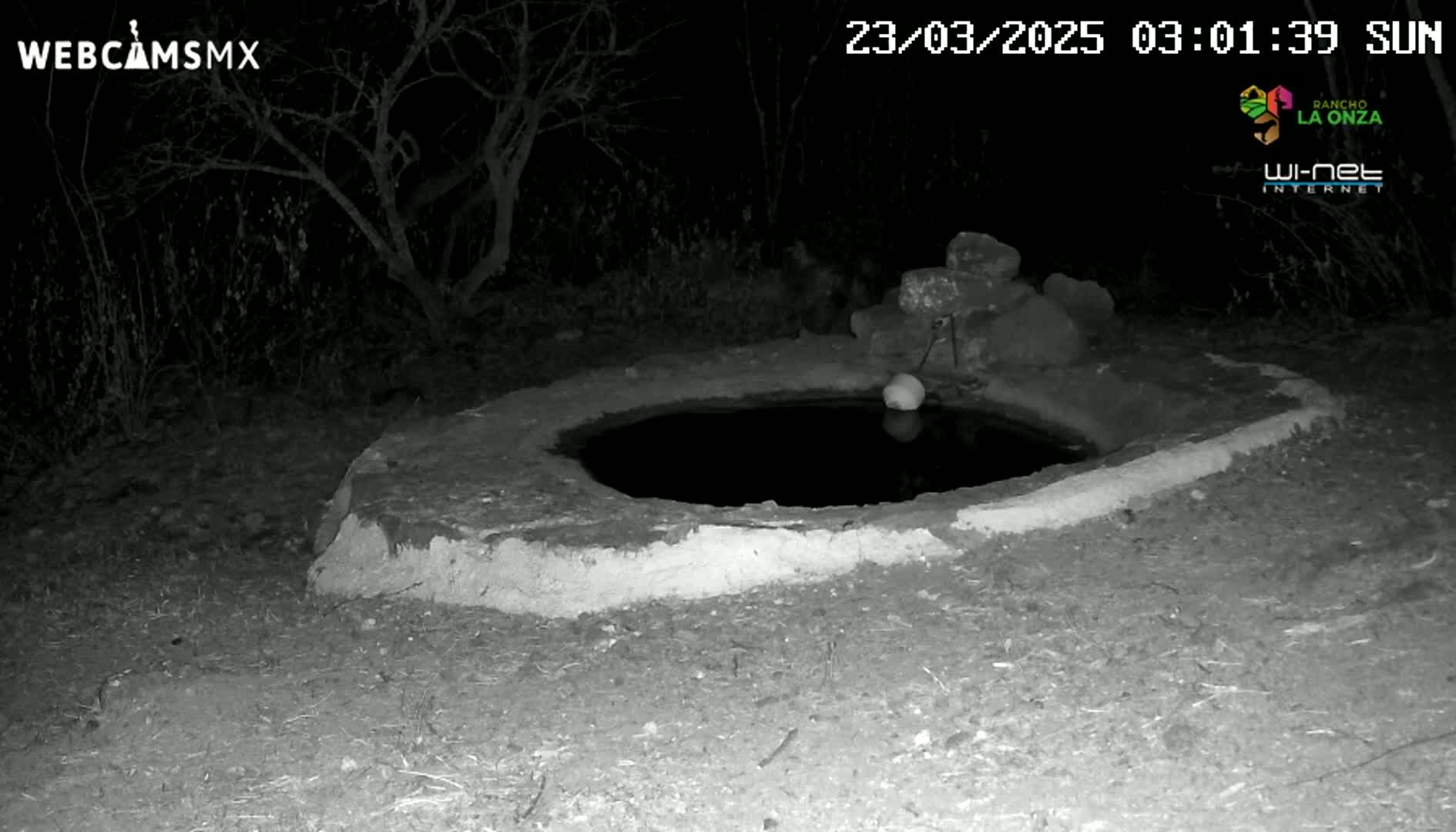 A small, stone-lined water basin sits in the dark under a night sky, surrounded by sparse brush.