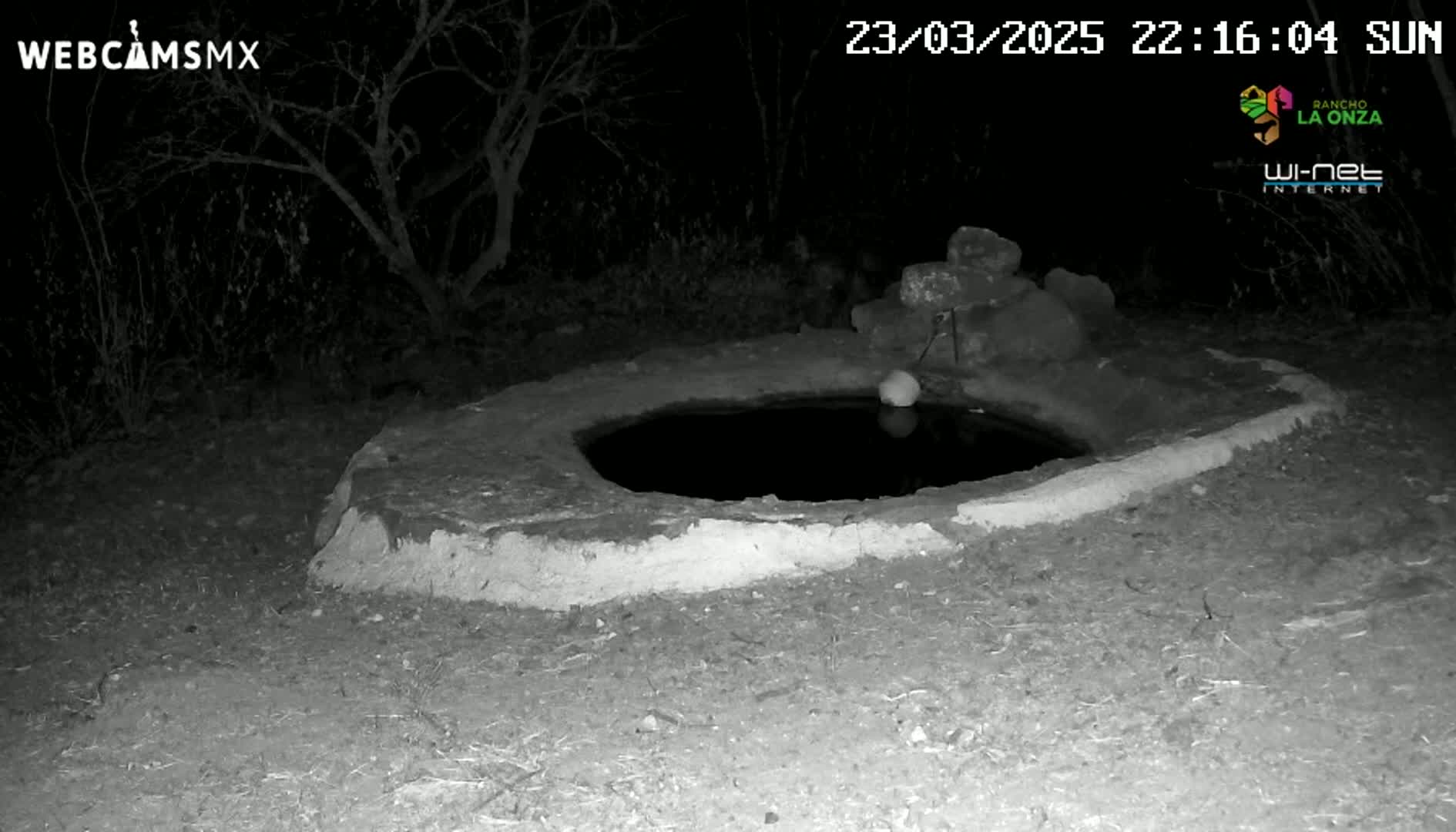 A low, circular stone basin containing still, dark water sits outdoors at night, partially illuminated by an unknown light source.