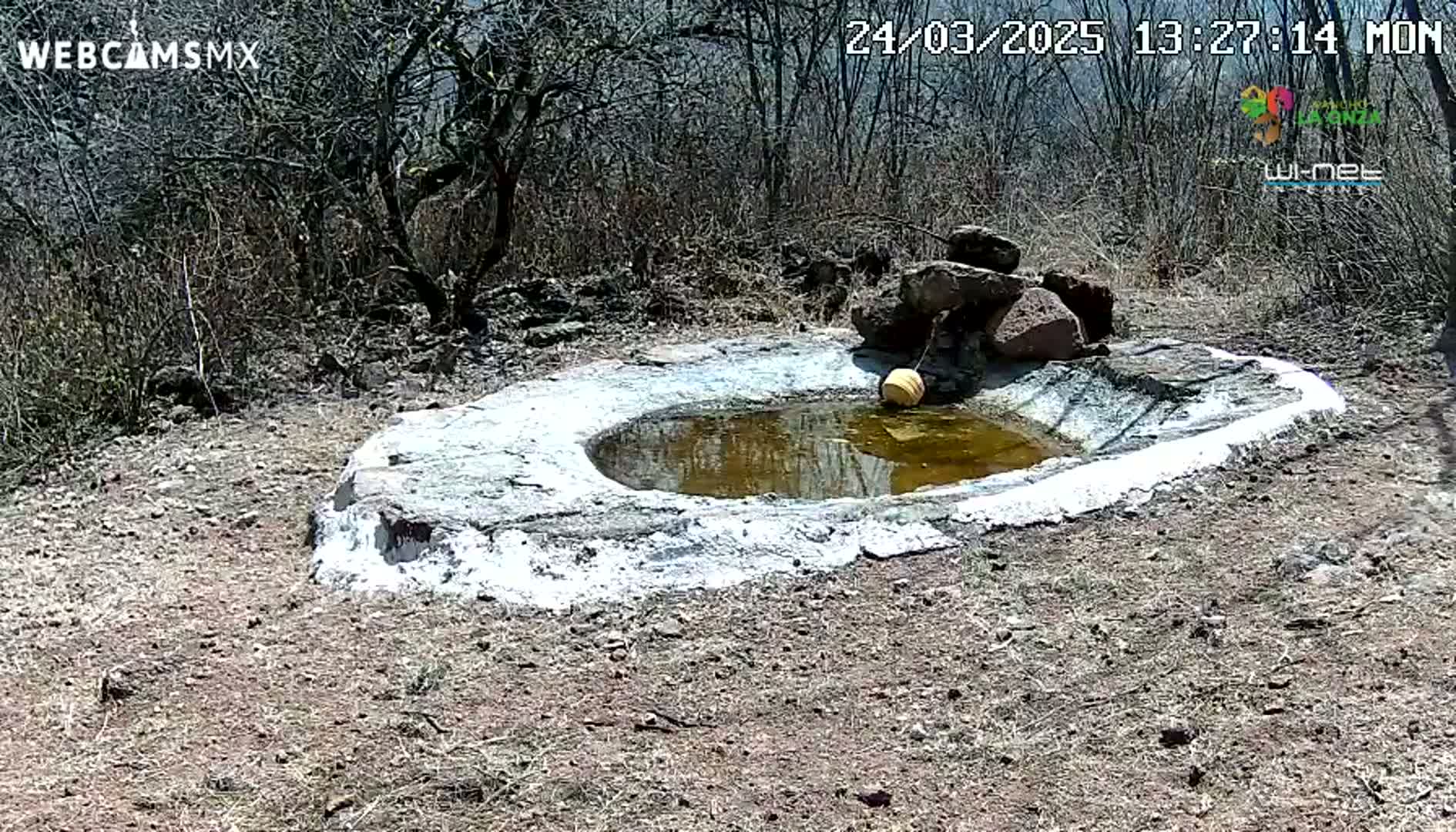 A small, shallow, cement-lined water basin containing murky water sits in a dry, scrubby landscape under a sunny sky.