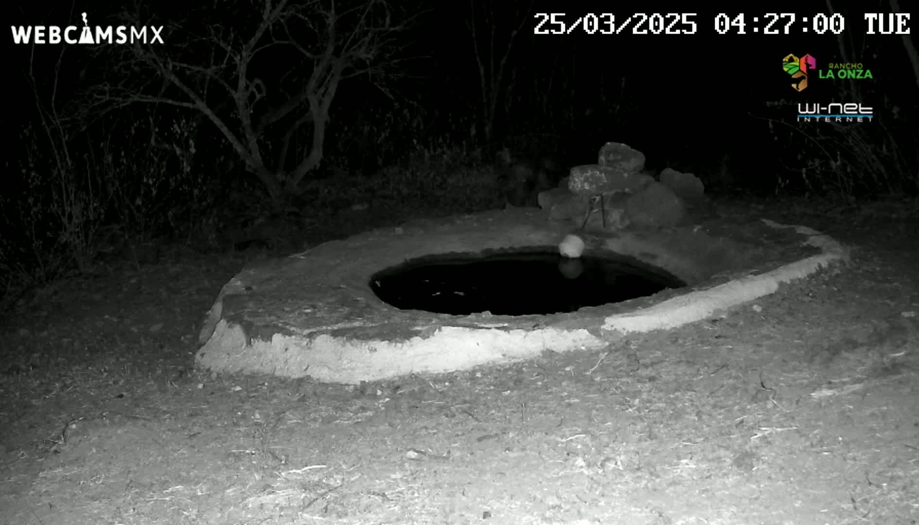 At night, a low stone structure with a dark, circular pool of water in its center sits in a sparsely vegetated area.