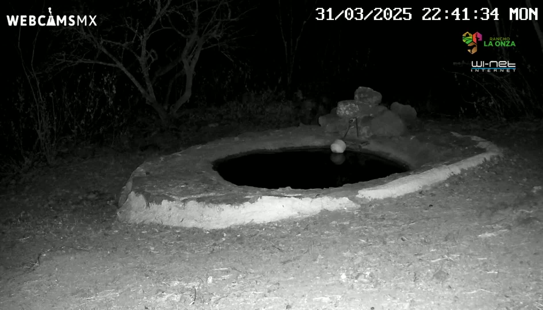 A low-light nighttime image shows a small, round, stone water basin partially filled with water, situated in a dry, sparsely vegetated area.