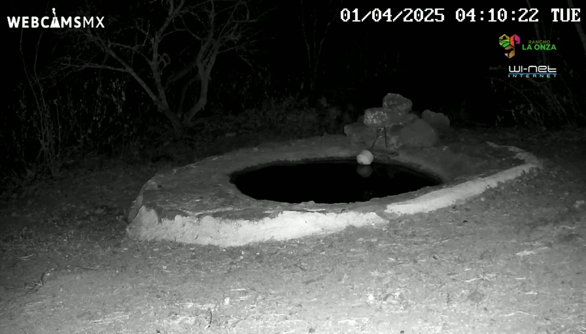 A small, round, stone-lined pool of water sits at night in a dark, sparsely vegetated area.