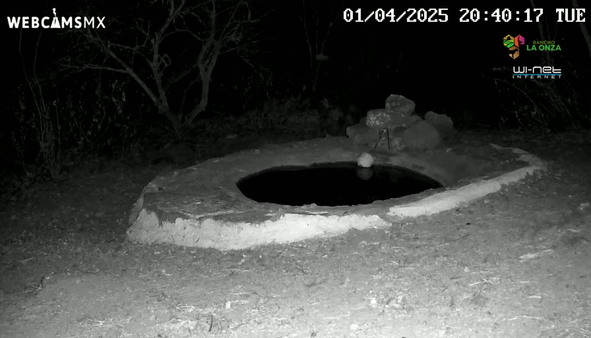 A nighttime infrared image shows a stone-lined circular water basin, partially filled with water, surrounded by dark, leafless trees under a clear, dark sky.