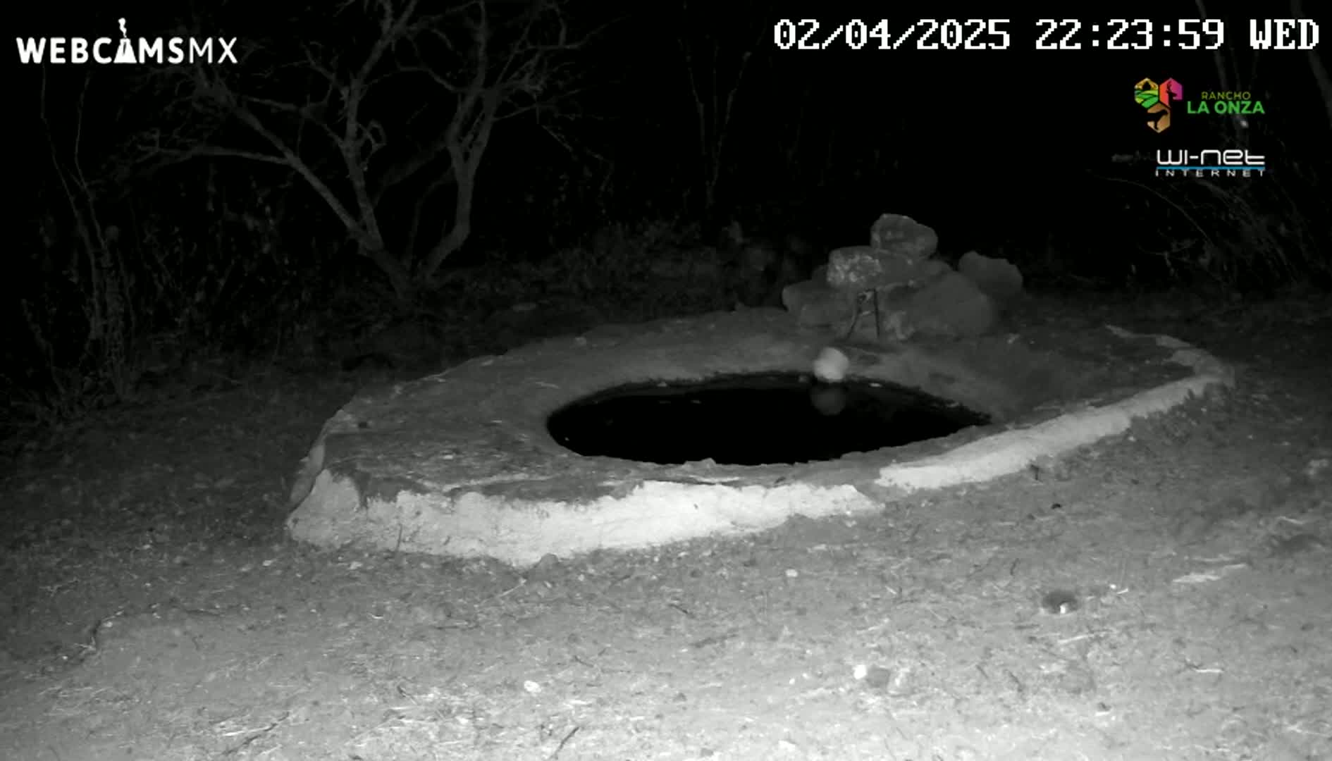 A low circular stone basin containing still water sits at night in a sparsely vegetated area.