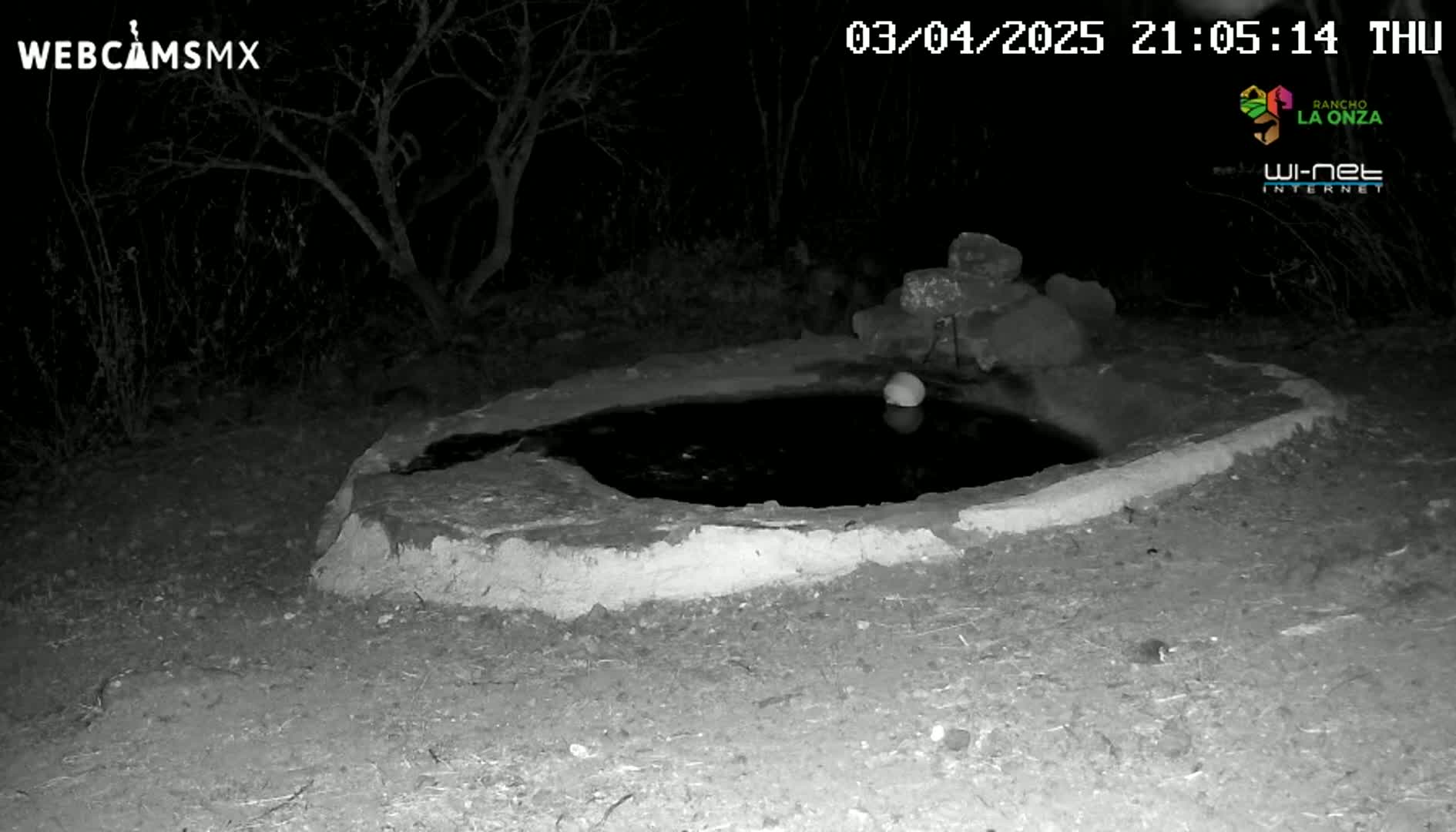 A small, dark pool of water sits within a low, earthen structure at night, surrounded by dark vegetation.