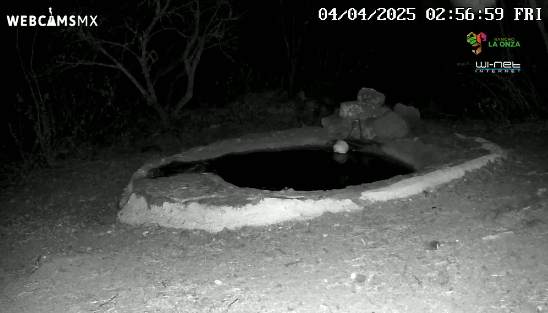 A small, shallow, stone-lined pool of water sits in the dark under a night sky.
