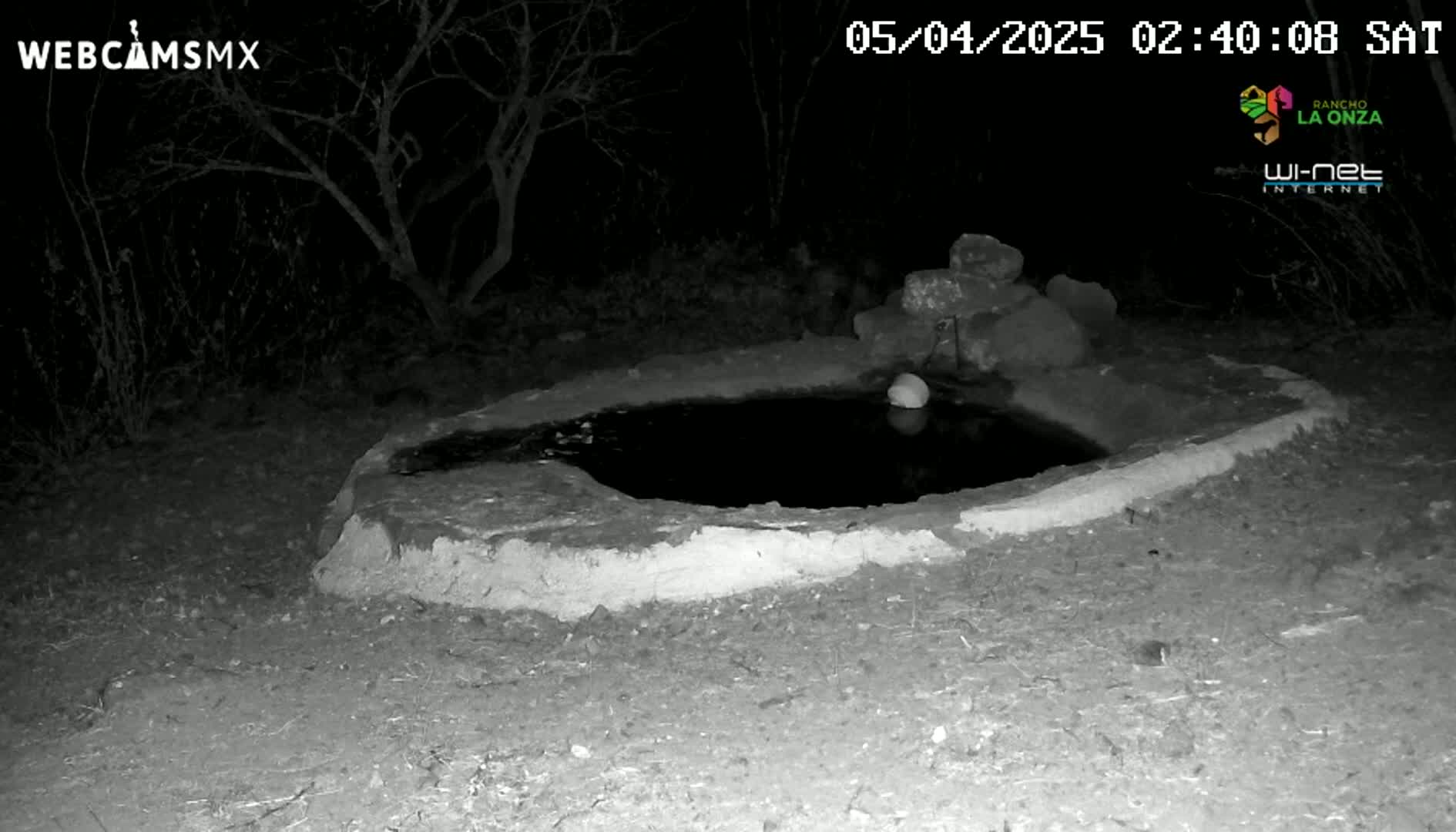 A small, dark pool of water sits in a low, stone-lined basin at night, surrounded by dark vegetation.