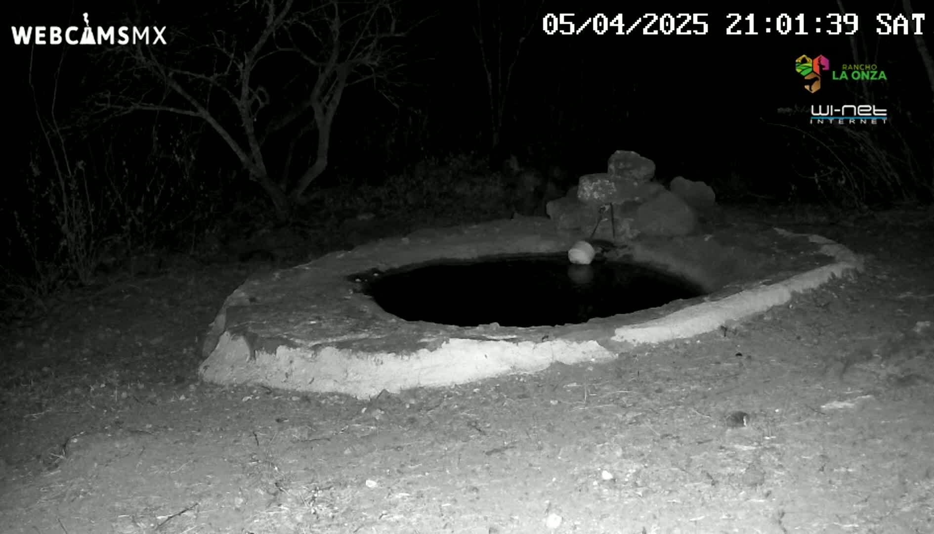 A low stone basin containing still water sits in the dark outdoors at night.