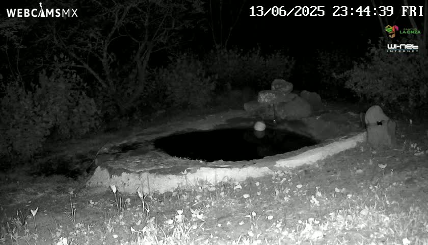 Rancho La Onza Waterhole Animals Live Live Cam - San Luiz de la Paz, Guanajuato, Mexico