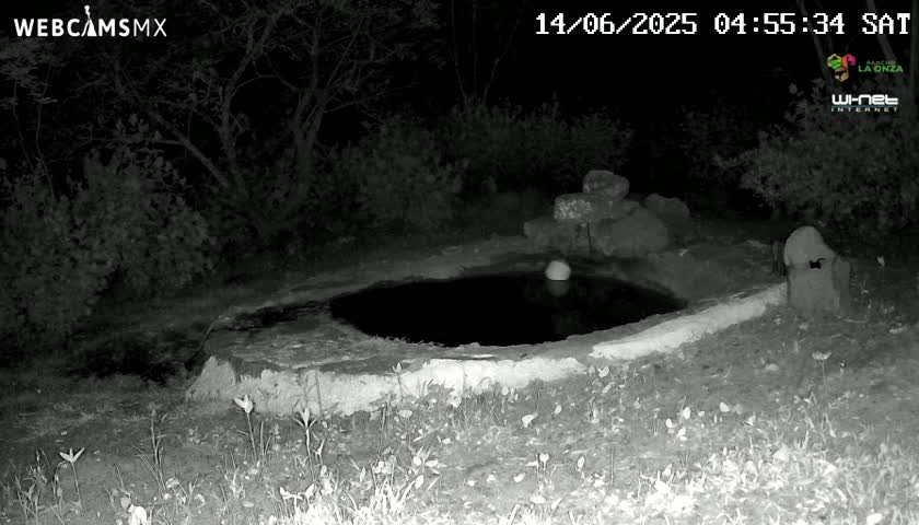A small, dark pool of water sits within a low stone structure at night, surrounded by vegetation.