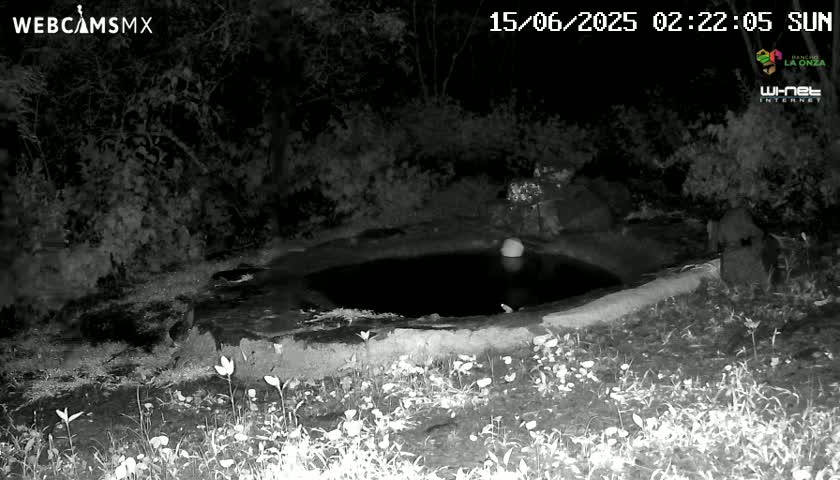 A dark, nighttime infrared image shows a small, still body of water surrounded by vegetation.