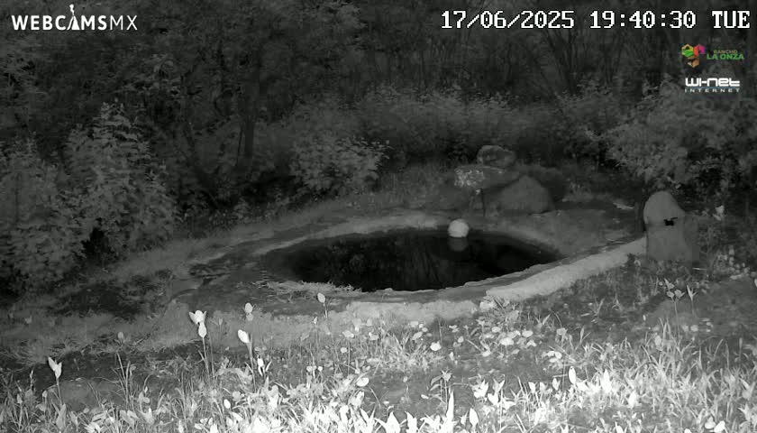 Rancho La Onza Waterhole Animals Live Live Cam - San Luiz de la Paz, Guanajuato, Mexico