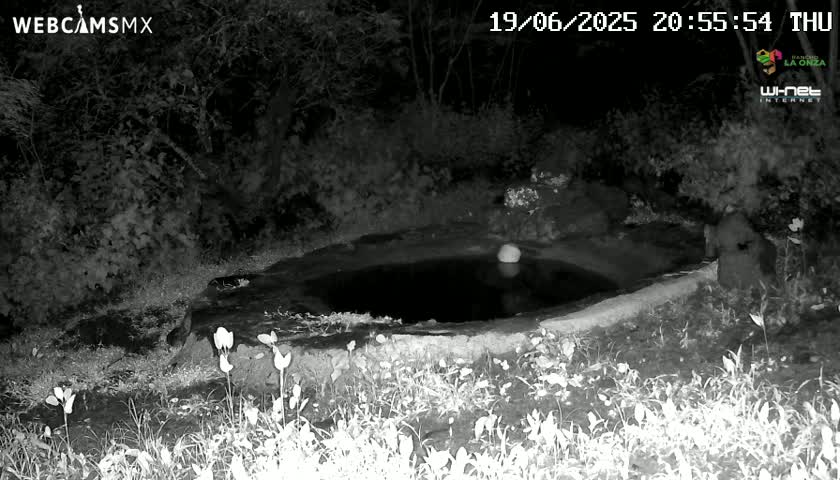 Rancho La Onza Waterhole Animals Live Live Cam - San Luiz de la Paz, Guanajuato, Mexico
