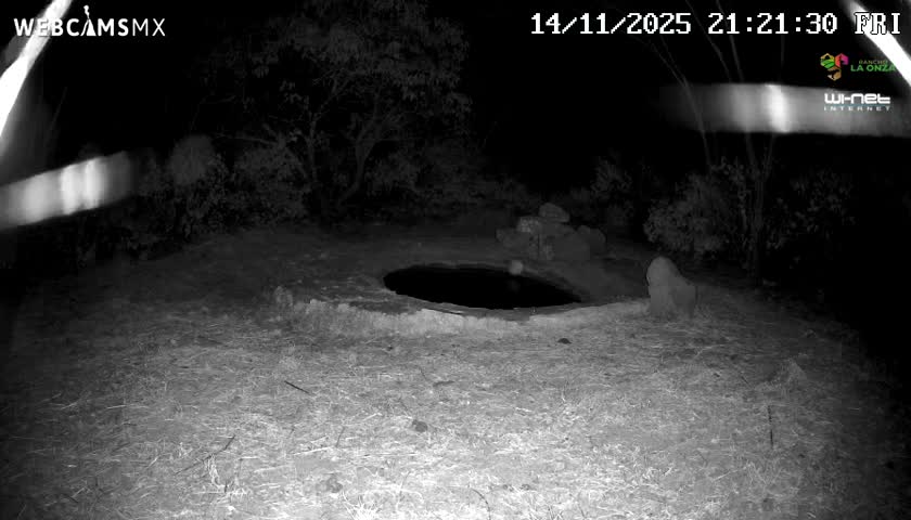 Rancho La Onza Waterhole Animals Live Live Cam - San Luiz de la Paz, Guanajuato, Mexico