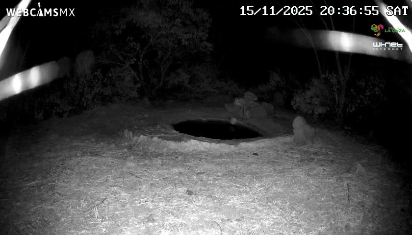Rancho La Onza Waterhole Animals Live Live Cam - San Luiz de la Paz, Guanajuato, Mexico