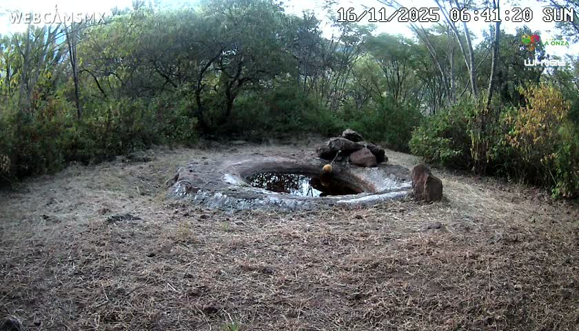 Rancho La Onza Waterhole Animals Live Live Cam - San Luiz de la Paz, Guanajuato, Mexico