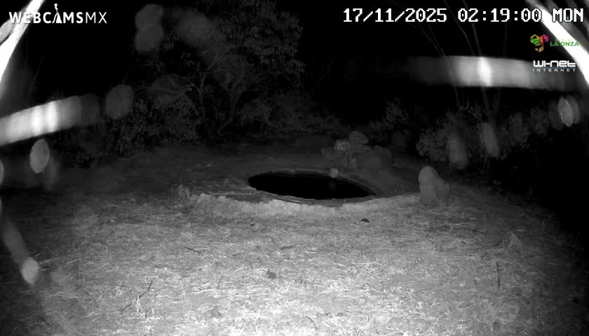 Rancho La Onza Waterhole Animals Live Live Cam - San Luiz de la Paz, Guanajuato, Mexico