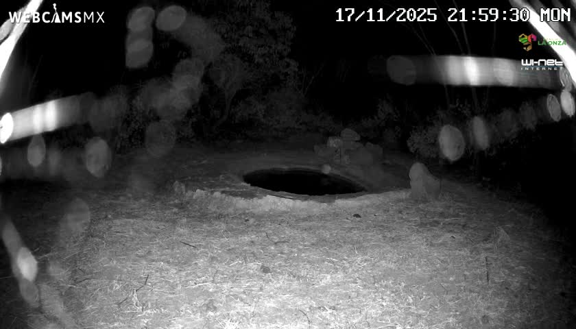 Rancho La Onza Waterhole Animals Live Live Cam - San Luiz de la Paz, Guanajuato, Mexico