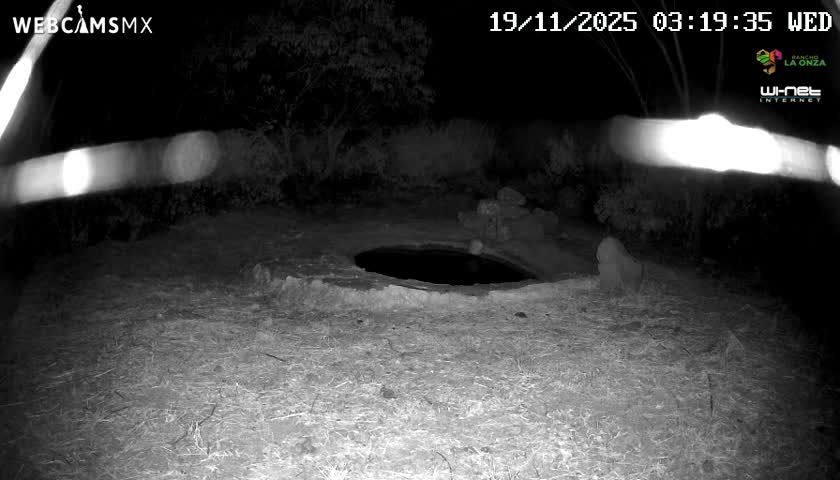 A night vision image reveals an outdoor scene with a dark circular well or water hole in the foreground, surrounded by dry grass and shadowy vegetation under clear night conditions.