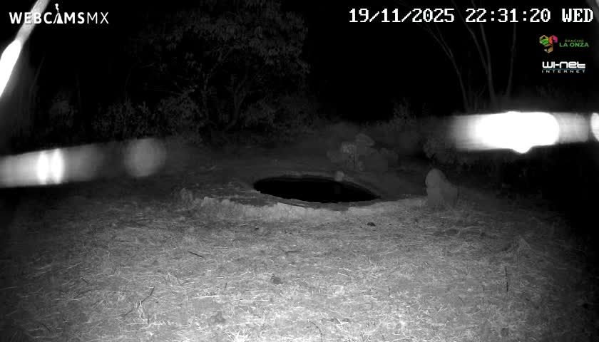 Rancho La Onza Waterhole Animals Live Live Cam - San Luiz de la Paz, Guanajuato, Mexico