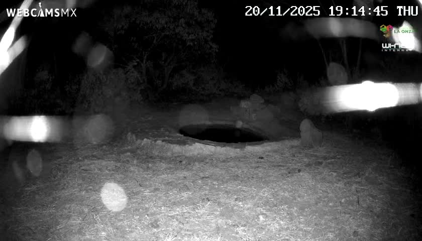 Rancho La Onza Waterhole Animals Live Live Cam - San Luiz de la Paz, Guanajuato, Mexico