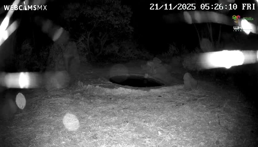 Rancho La Onza Waterhole Animals Live Live Cam - San Luiz de la Paz, Guanajuato, Mexico