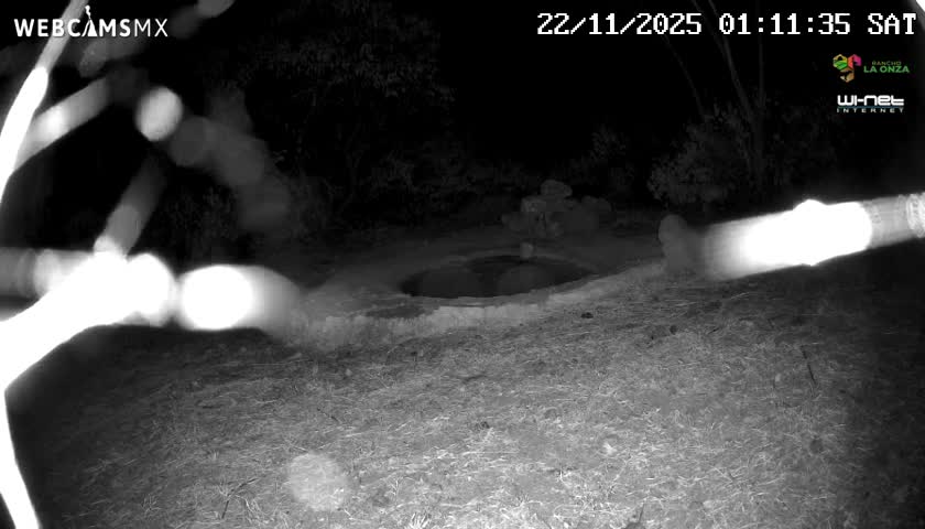 Rancho La Onza Waterhole Animals Live Live Cam - San Luiz de la Paz, Guanajuato, Mexico