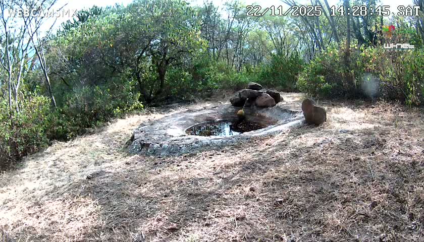 Rancho La Onza Waterhole Animals Live Live Cam - San Luiz de la Paz, Guanajuato, Mexico