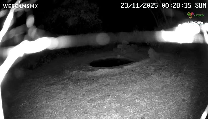 Rancho La Onza Waterhole Animals Live Live Cam - San Luiz de la Paz, Guanajuato, Mexico