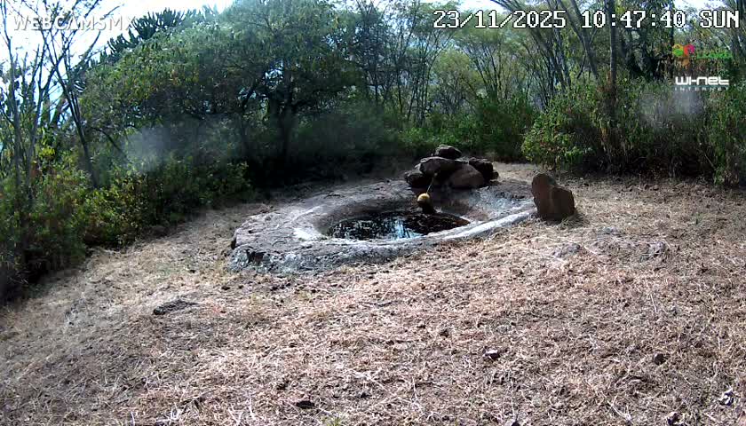 Rancho La Onza Waterhole Animals Live Live Cam - San Luiz de la Paz, Guanajuato, Mexico