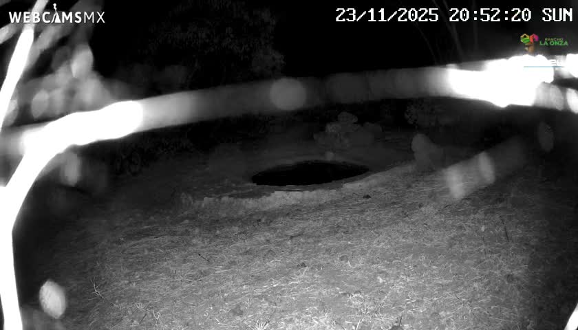 Rancho La Onza Waterhole Animals Live Live Cam - San Luiz de la Paz, Guanajuato, Mexico