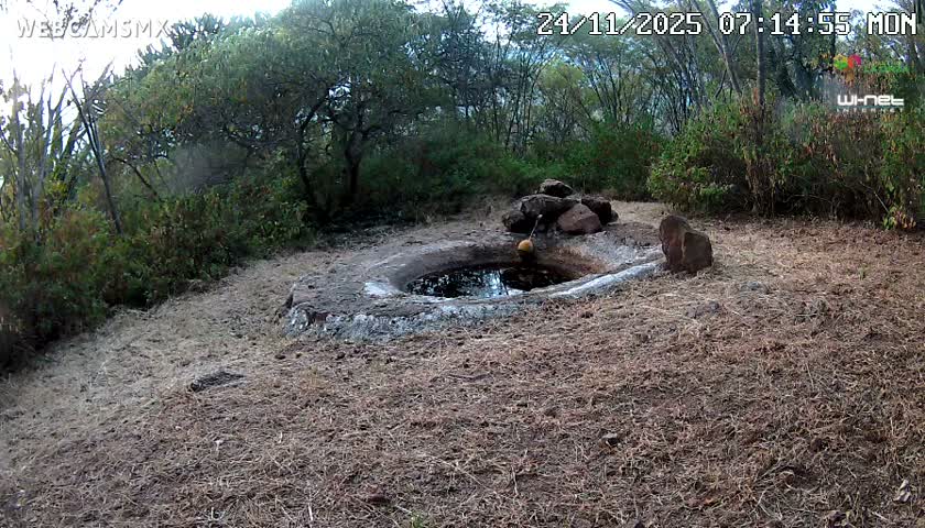 Rancho La Onza Waterhole Animals Live Live Cam - San Luiz de la Paz, Guanajuato, Mexico