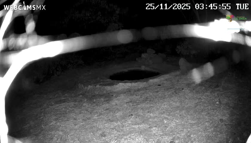 An outdoor night vision image shows a dark, circular opening in the ground surrounded by sparse vegetation under nighttime conditions, with several blurry bright light streaks crossing the frame.