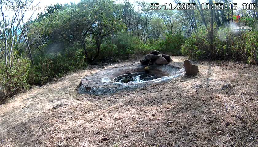 Rancho La Onza Waterhole Animals Live Live Cam - San Luiz de la Paz, Guanajuato, Mexico