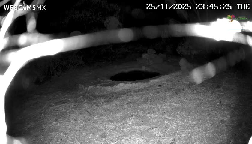 Rancho La Onza Waterhole Animals Live Live Cam - San Luiz de la Paz, Guanajuato, Mexico