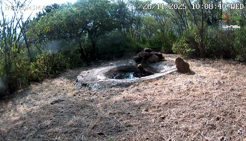 Rancho La Onza Waterhole Animals Live Live Cam - San Luiz de la Paz, Guanajuato, Mexico