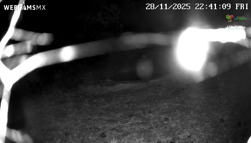 Rancho La Onza Waterhole Animals Live Live Cam - San Luiz de la Paz, Guanajuato, Mexico