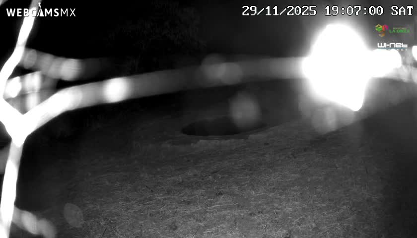 Rancho La Onza Waterhole Animals Live Live Cam - San Luiz de la Paz, Guanajuato, Mexico