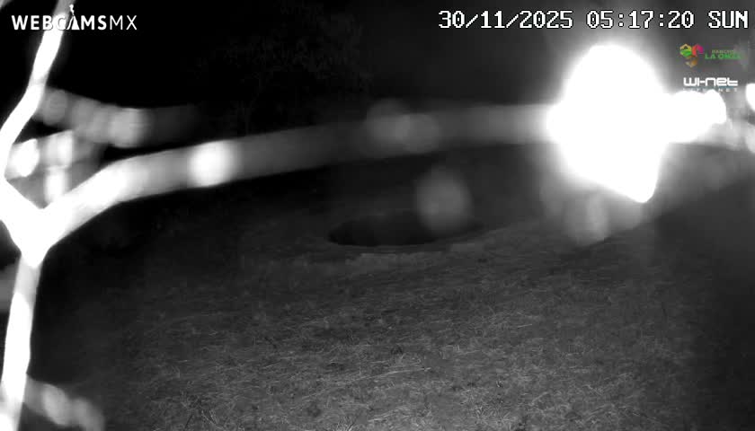 Rancho La Onza Waterhole Animals Live Live Cam - San Luiz de la Paz, Guanajuato, Mexico